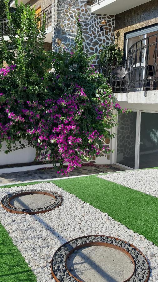 Colina Guesthouse - Braga Ngoại thất bức ảnh